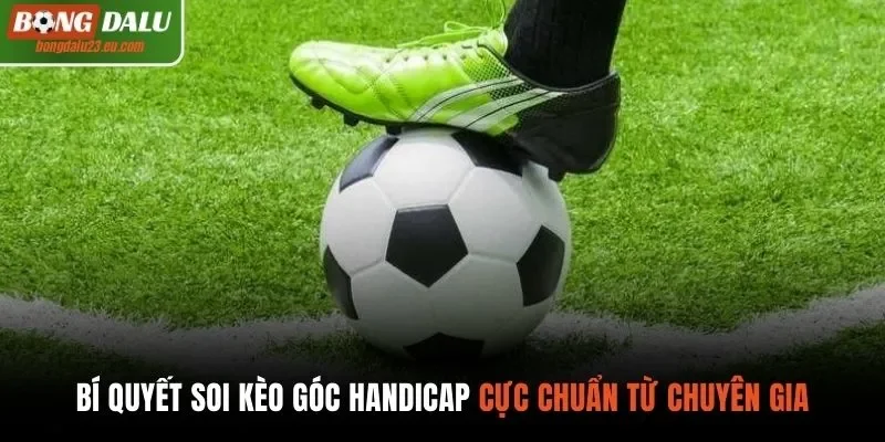 Bí quyết soi kèo handicap cực chuẩn từ chuyên gia