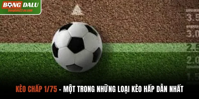 Kèo chấp 1/75