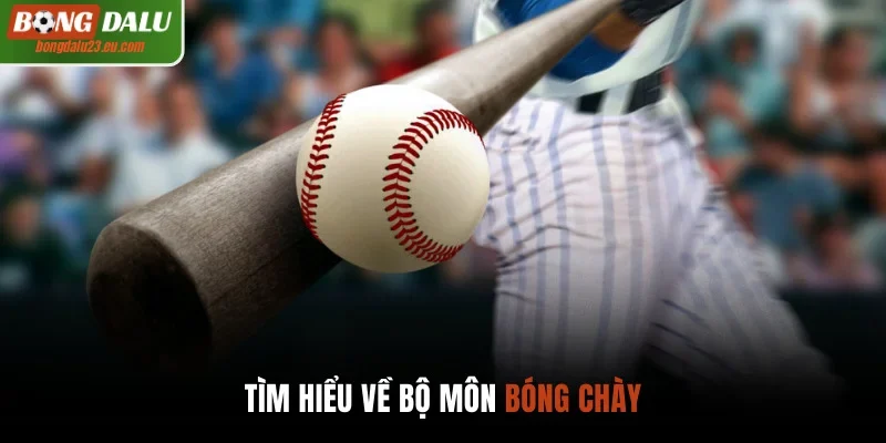 Một số thông tin cơ bản về môn bóng chày
