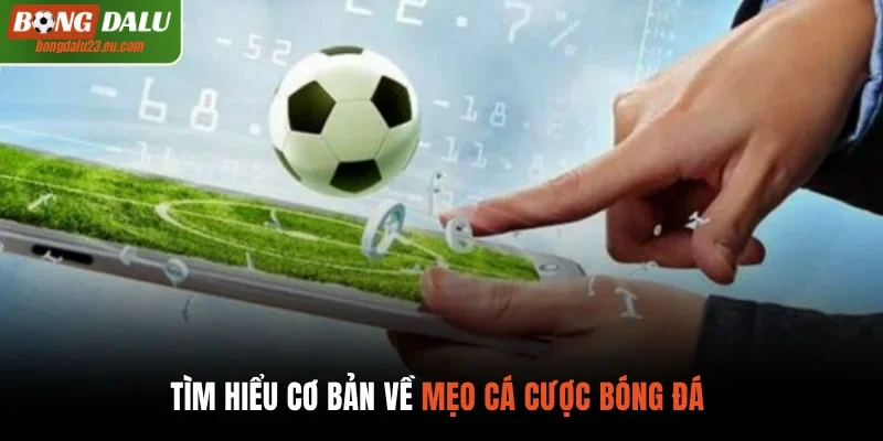 Tìm hiểu cơ bản về mẹo cá cược bóng đá