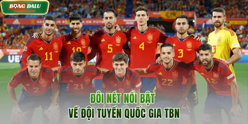 Đôi nét nổi bật về đội tuyển bóng đá Tây Ban Nha