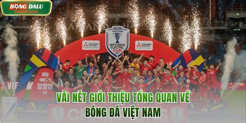 Vài nét giới thiệu bóng đá Việt Nam